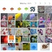 rainbow calendar 2025