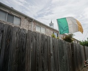 7th Apr 2025 - Erin go Bragh