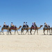 And They Are Off by onewing