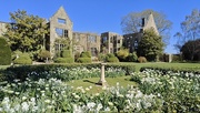 6th Apr 2025 - Spring at Nymans