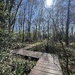 Nature Reserve by tinley23