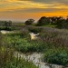 Marsh sunset