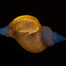Inner light by haskar