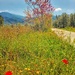 A road heading south by laroque