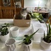 Gracie Plant by pej76