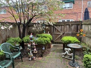 8th Apr 2025 - The Rains Came