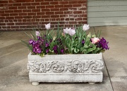 8th Apr 2025 - Spring Captured