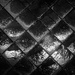 h20 - bathroom tiles