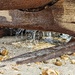Seepage and Leakage