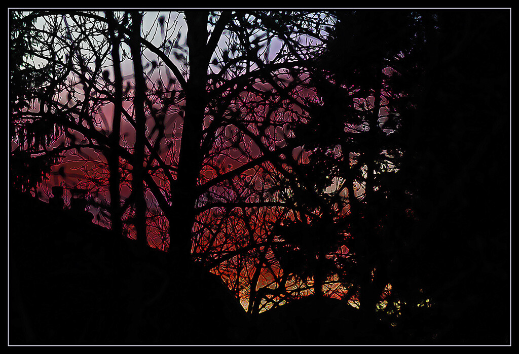 Sunset Window by gardencat