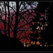 Sunset Window