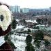 i thought you said it's spring! by summerfield