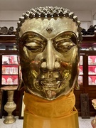9th Apr 2025 - Big face. 