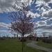 Spring in Southern Sweden