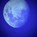 Another boring moon..
