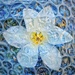 Protected Tulip