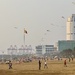 Kite on the beach. 