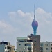 Lotus tower. 
