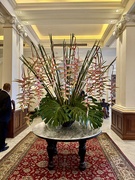 10th Apr 2025 - Hôtel Bunch 
