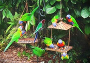 10th Apr 2025 - The Noise Was Deafening ~