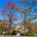 Beautiful Day by hjbenson