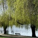 The Lost Lagoon  by rosemaryhouse2