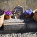 Fairy Door