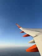 8th Apr 2025 - Fly