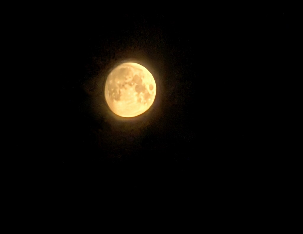Early morning moon by topcat1701