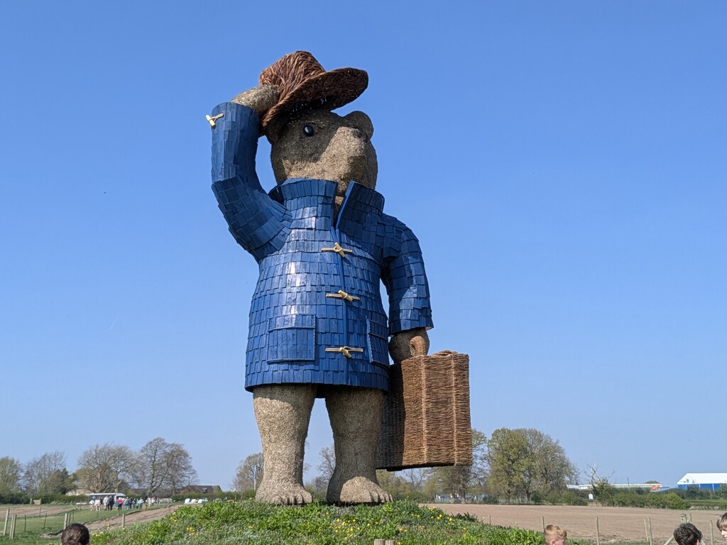 Paddington Bear  by topcat1701