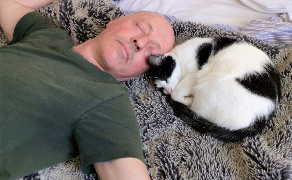 Both snoring  by boxplayer