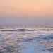 Wave in the sunset. 