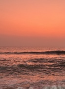 11th Apr 2025 - Orange. 