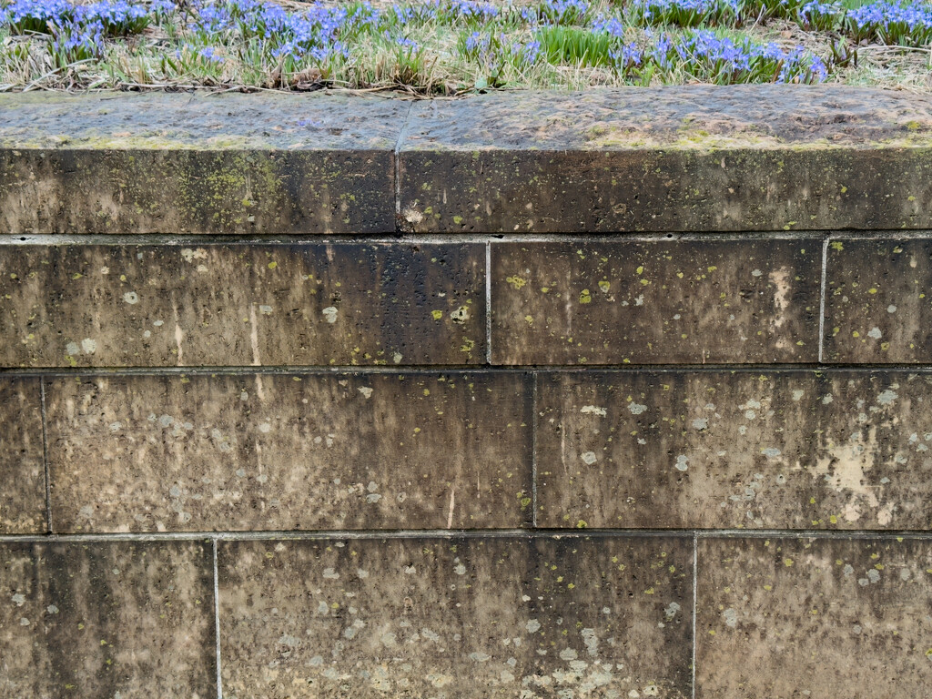 Lurie Garden Wall by pictorialnarrative