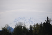 10th Apr 2025 - Mt. Rainier Came Out to Play Today