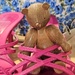 Mr Bear Thrifting