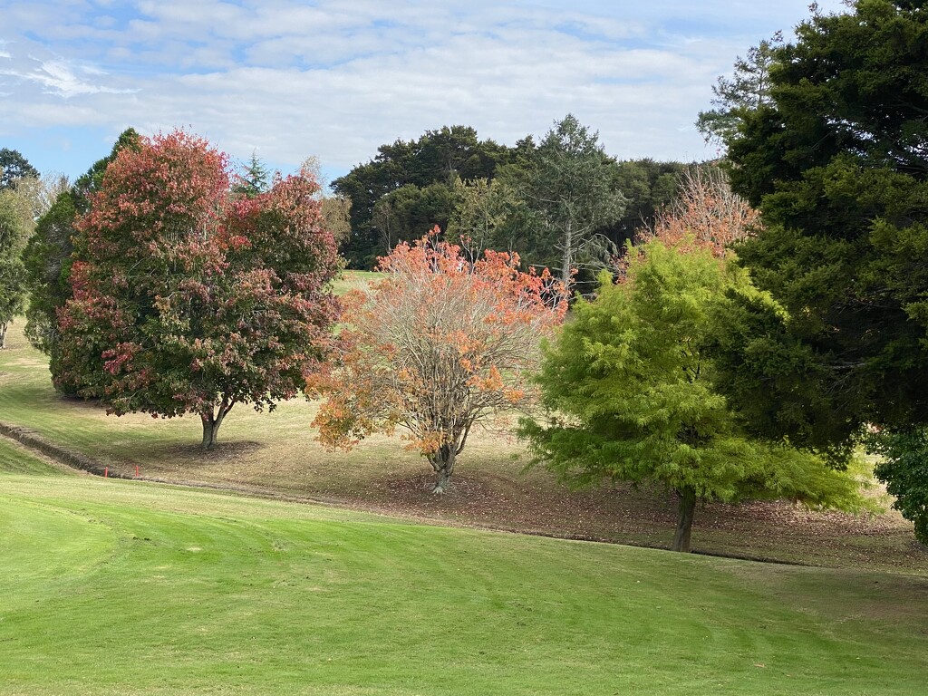 Colours of Autumn  by yorkshirekiwi