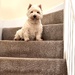 11th April - George