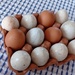 An Eggcellent idea