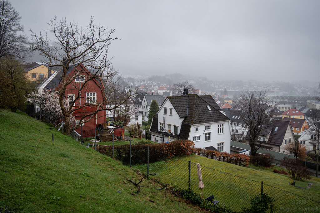 Typical Bergen weather :-) by helstor365
