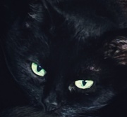 10th Apr 2025 - Olive