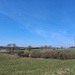 Perfect Day