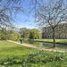 The Wren Library Trinity College Cambridge 