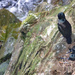 On The Nest