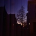 Curtained reflection