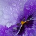 Giving Colour