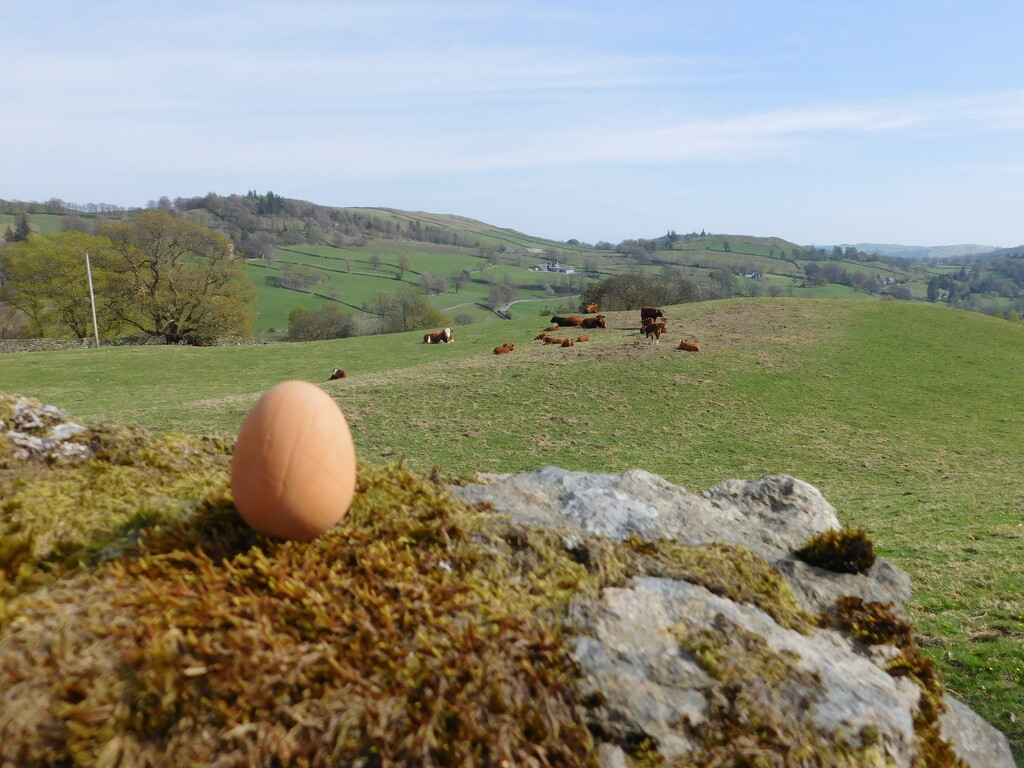 hegg by anniesue