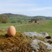 hegg