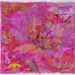 pink petal perusal
