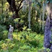 Scenic Magnolia Gardens